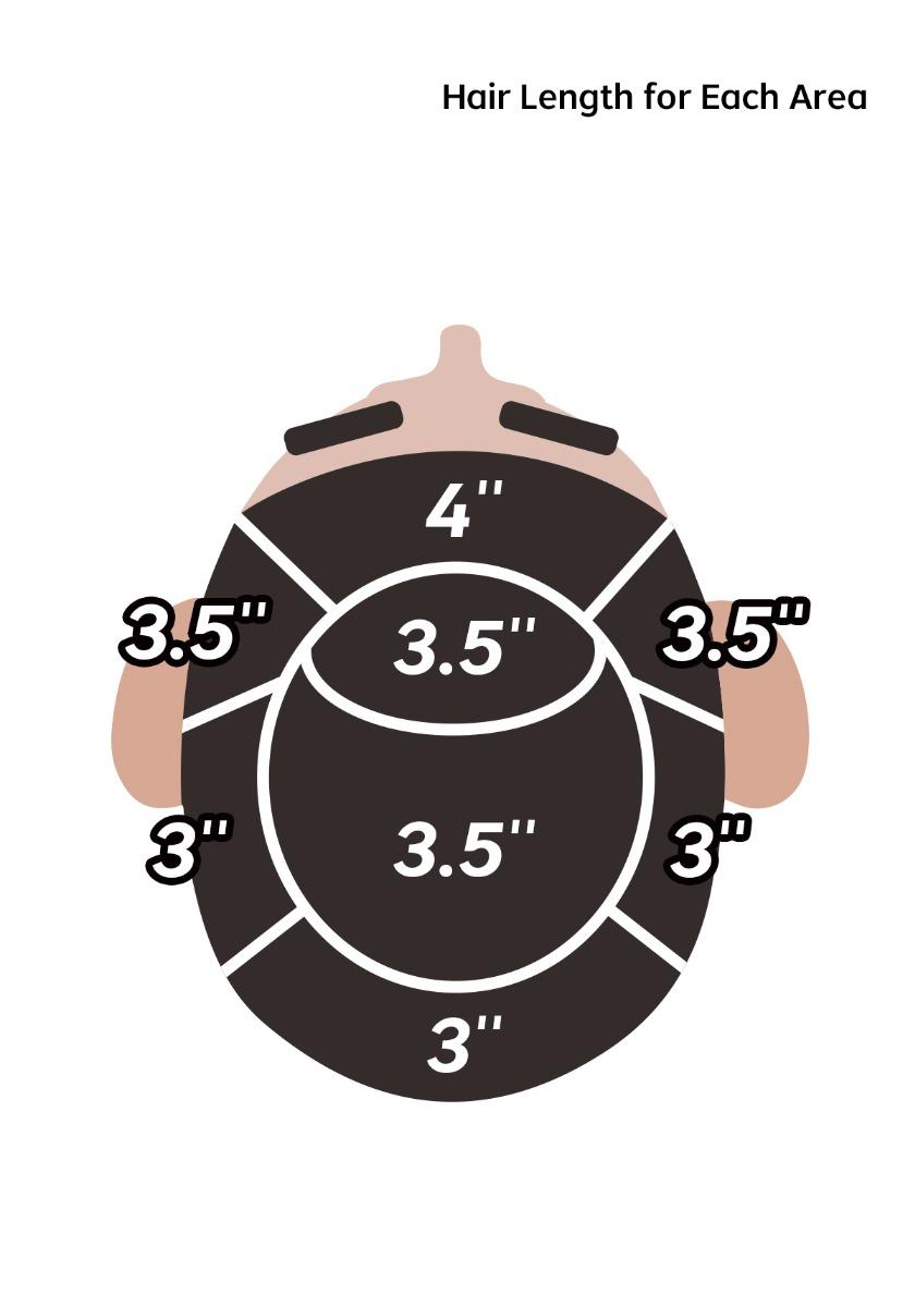 hair length for each area