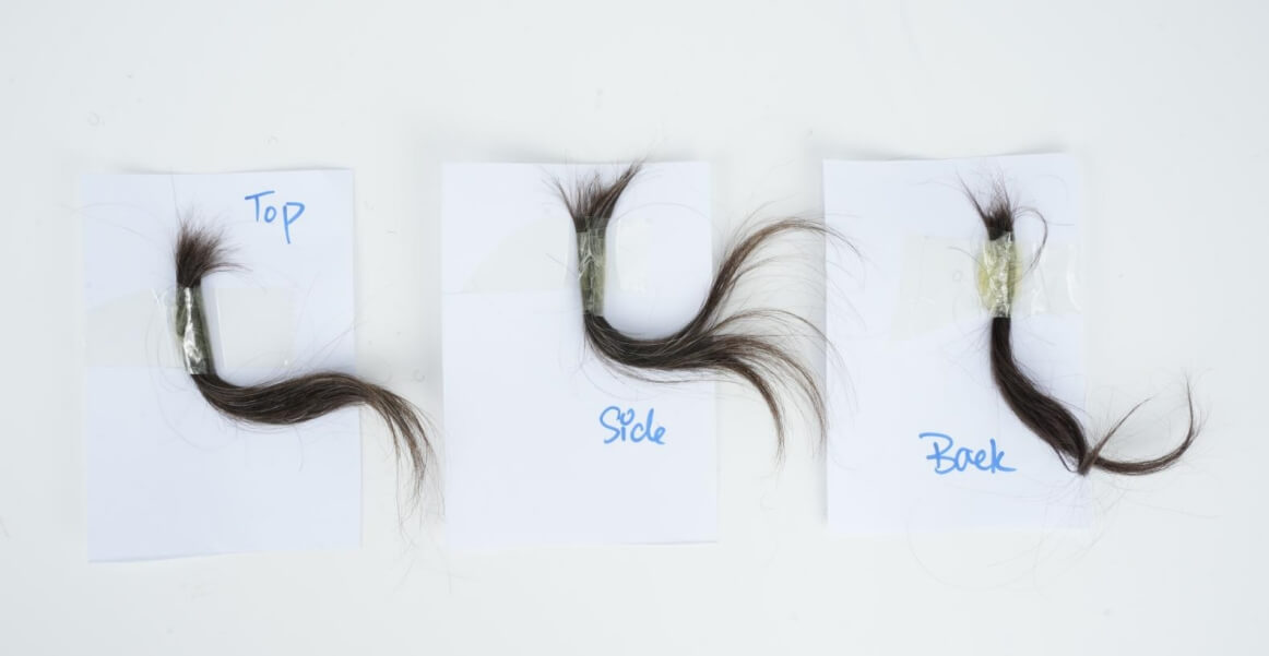 hair samples